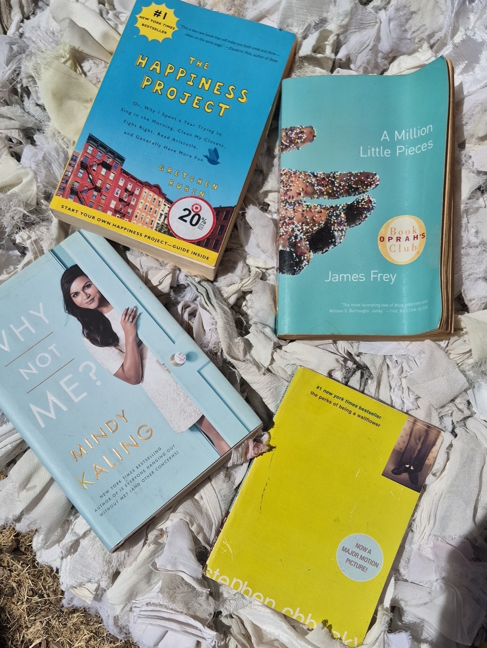 Book Bundle X 4